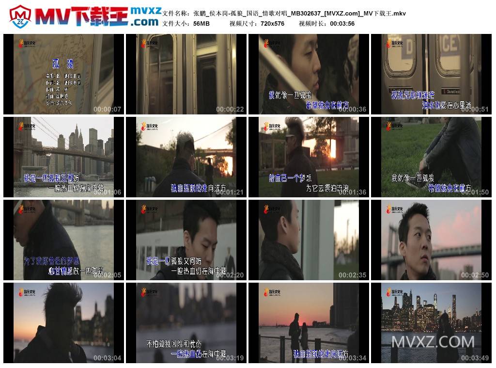 张鹏_侯本岗-孤狼_国语_情歌对唱_MB302637